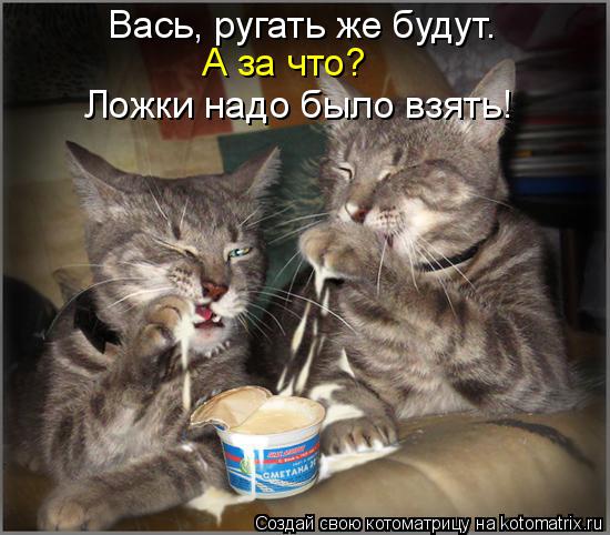 Котоматрица: Вась, ругать же будут. А за что? Ложки надо было взять!