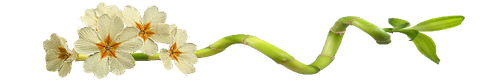 0e9af97378_76495000_o2.png